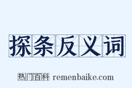 探条反义词是什么意思的图片